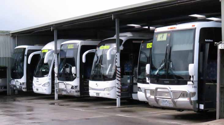 Westernport Volvo B7R Autobus 386, King Long 6120AU 310, Scania K310IB Volgren Endura 307 & 305 and MAN 19.320 Irizar i6 306